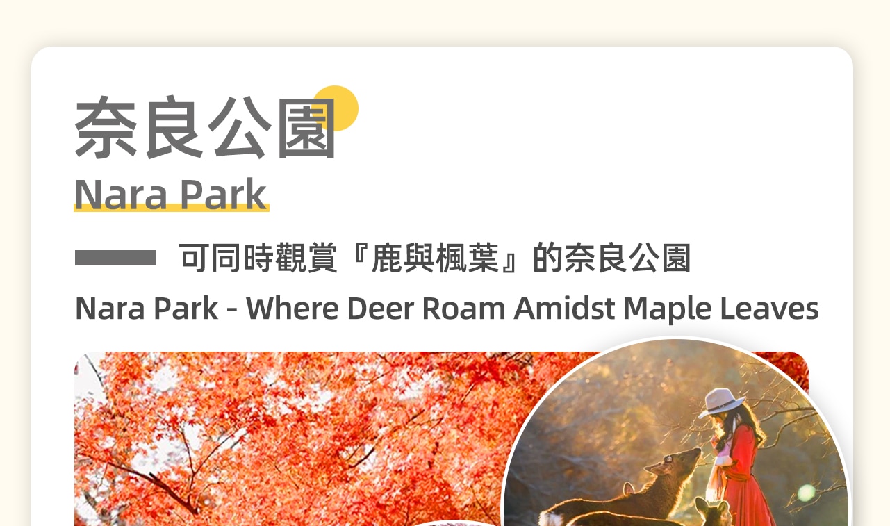 奈良公園是一座與自然和諧共生的歷史公園。公園內綠意盎然,還棲息著上千只可愛的梅花鹿。遊客可以餵食小鹿,感受人與動物親密接觸的樂趣,體驗日本傳統文化的魅力。 奈良公園是一座與自然和諧共生的歷史公園。公園內綠意盎然,還棲息著上千只可愛的梅花鹿。遊客可以餵食小鹿,感受人與動物親密接觸的樂趣,體驗日本傳統文化的魅力。