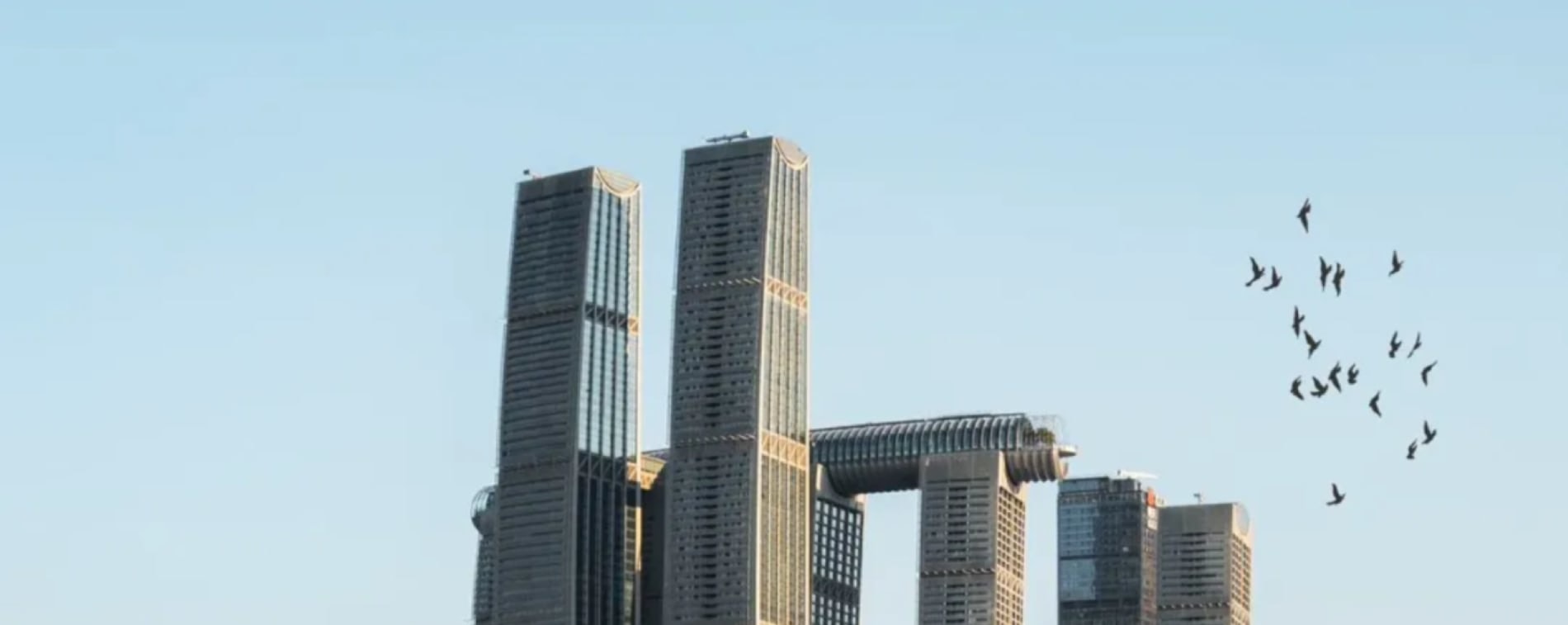日落彈子石，江天共綺霞，小渡悠然過，鷗影舞蒹葭