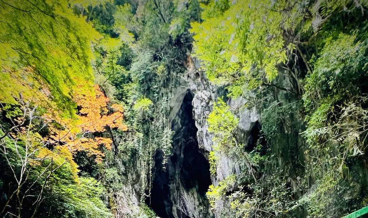 九州｜秋芳洞＆元乃隅神社＆角島大橋一日遊｜福岡出發