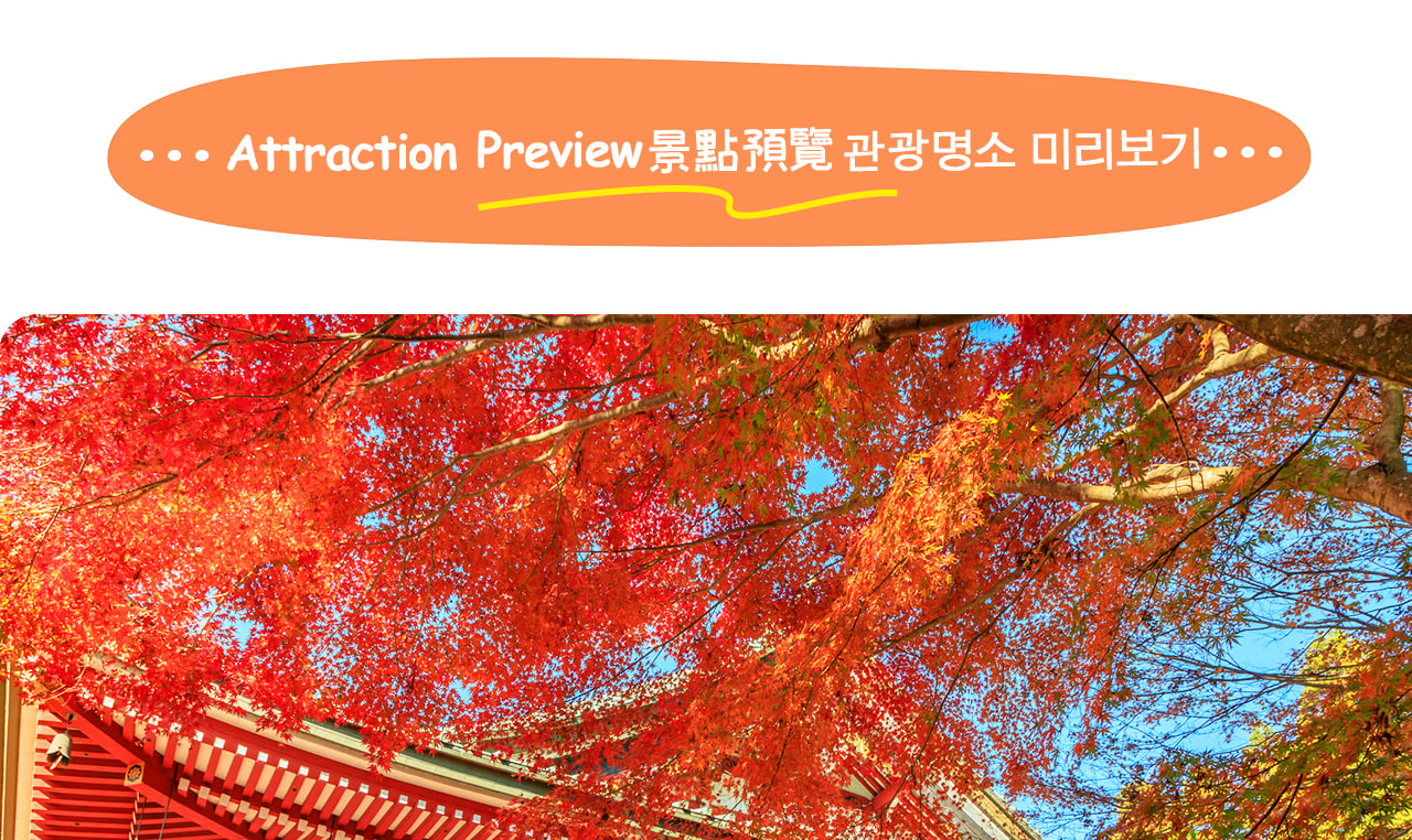 比叡山延歷寺在楓葉季染上絢麗紅彩，古剎與漫山紅葉交織出寧靜而莊嚴的絕美景緻。