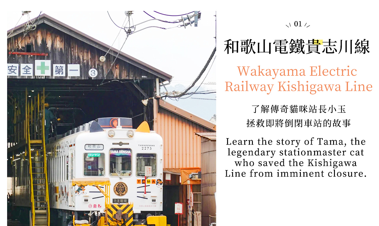 和歌山電鐵貴志川線:探訪傳奇貓站長小玉的故事,體驗貓咪主題電車,感受延續的 “貓文化”,是萌寵愛好者的打卡地。 和歌山電鐵貴志川線:探訪傳奇貓站長小玉的故事,體驗貓咪主題電車,感受延續的 “貓文化”,是萌寵愛好者的打卡地。