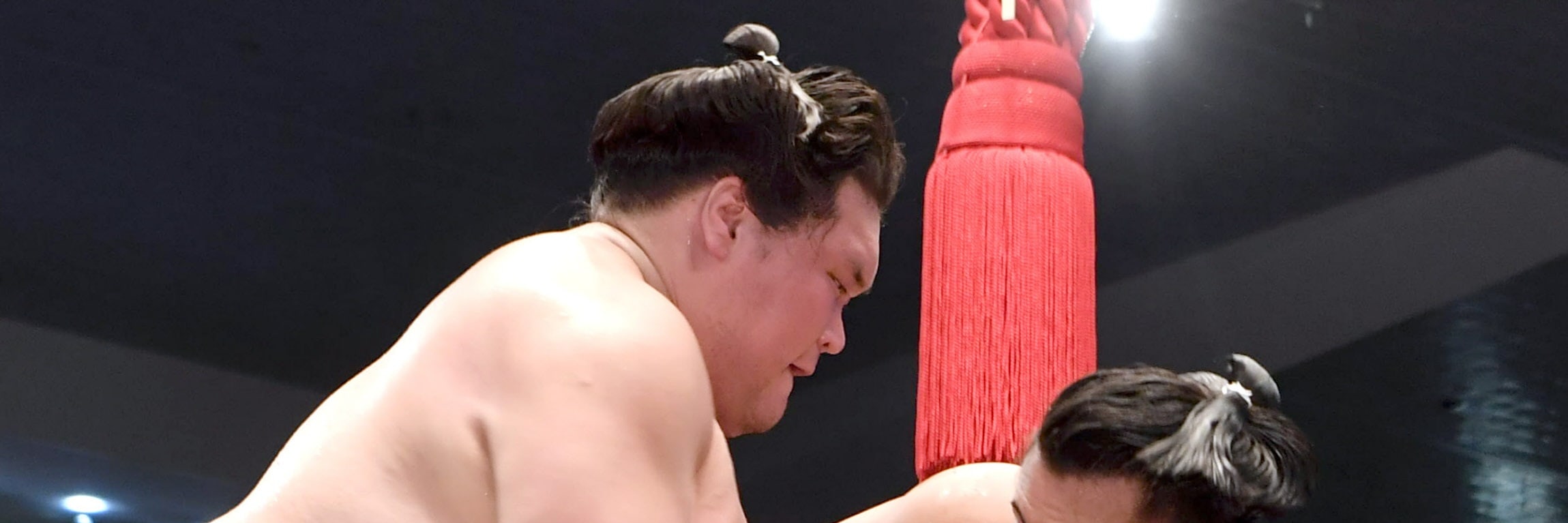 東京一日相撲比賽導覽遊