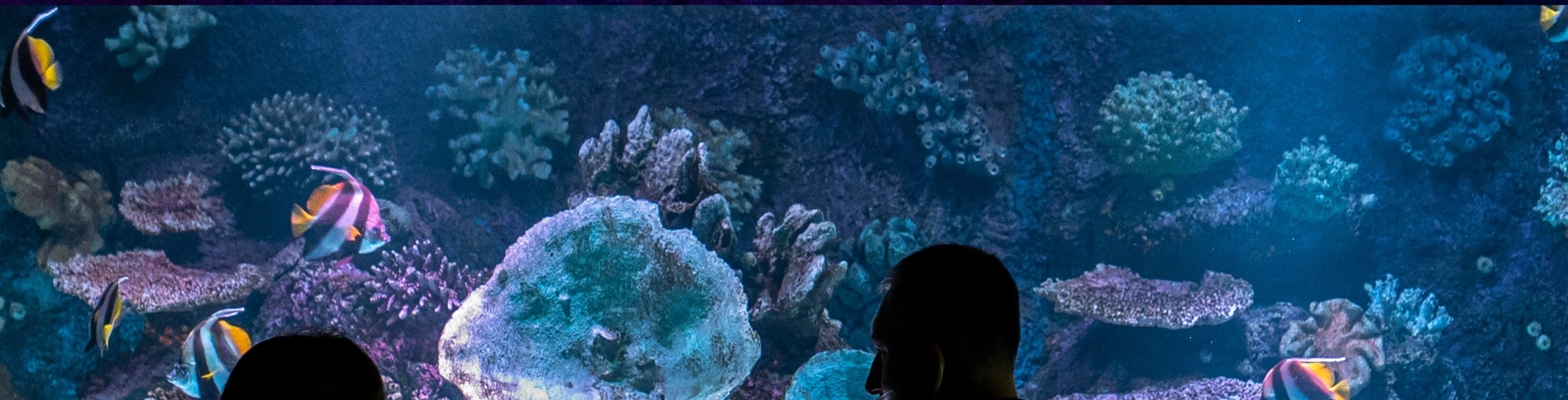 安塔利亞水族館和蠟像館門票