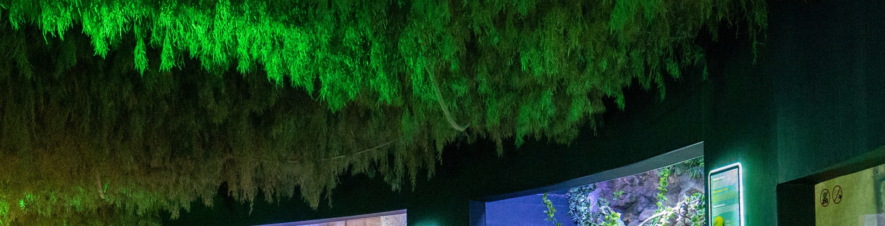 安塔利亞水族館和蠟像館門票
