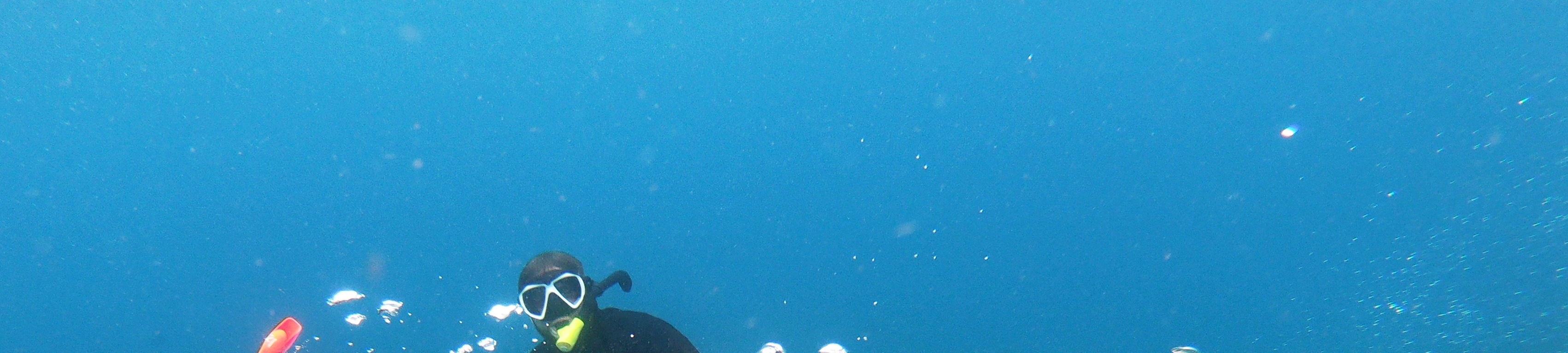 八丹拜PADI五星級潛水中心浮潛體驗