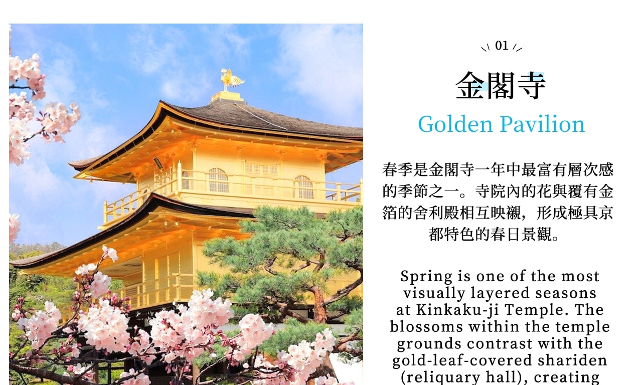 Kyoto Kinkaku-ji Temple, Arashiyama Free Stroll & Night Cherry Blossom/Autumn Leaves Illumination Arashiyama Sagano Romantic Train Day Trip (Departing from Osaka/Kyoto) - Thumbnail 3