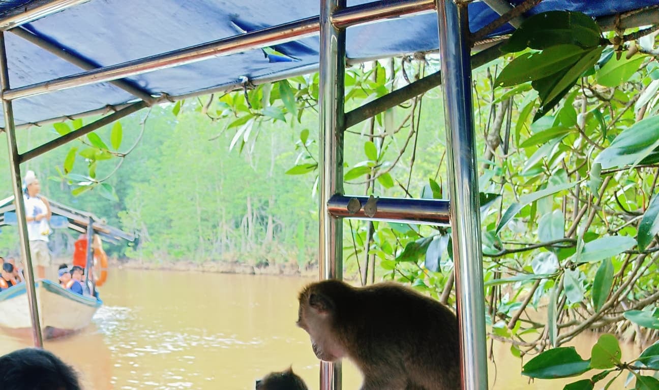 Bongawan 紅樹林遊船和螢火蟲之旅 (Bongawan Mangrove Cruise and Fireflies Tour)
