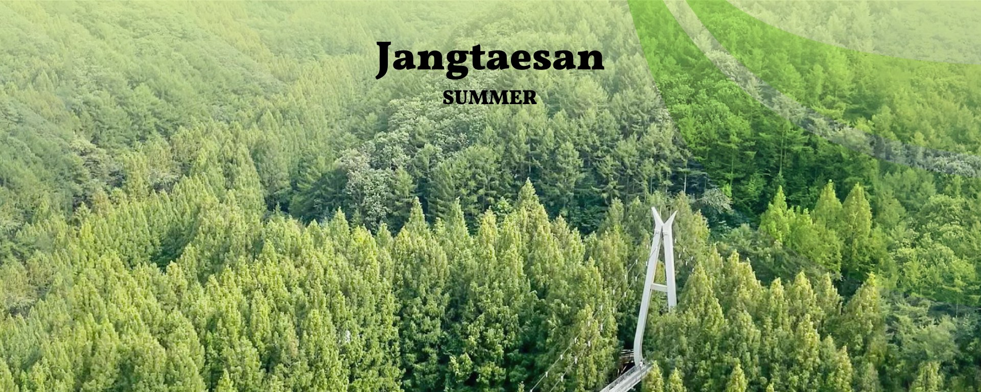 🌿夏季前往長泰山，最棒的體驗莫過於在景色優美的步道上神清氣爽地徒步。