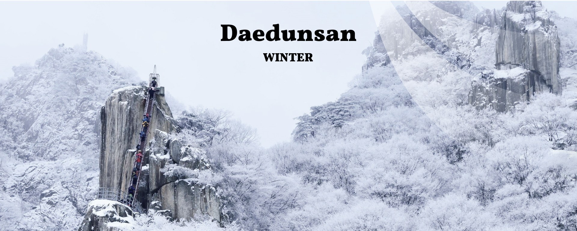 ❄冬天的Daedunsan感覺就像走進一個白雪皚皚的童話世界。 ❄冬天的Daedunsan感覺就像走進一個白雪皚皚的童話世界。