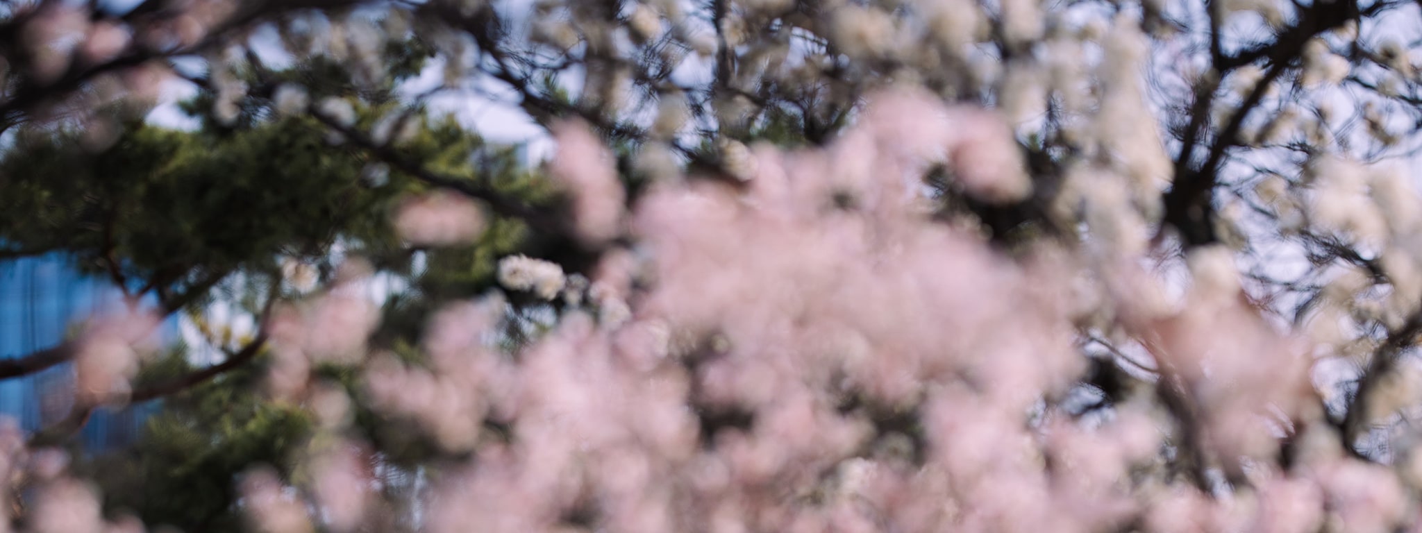 首爾觀光拍照體驗