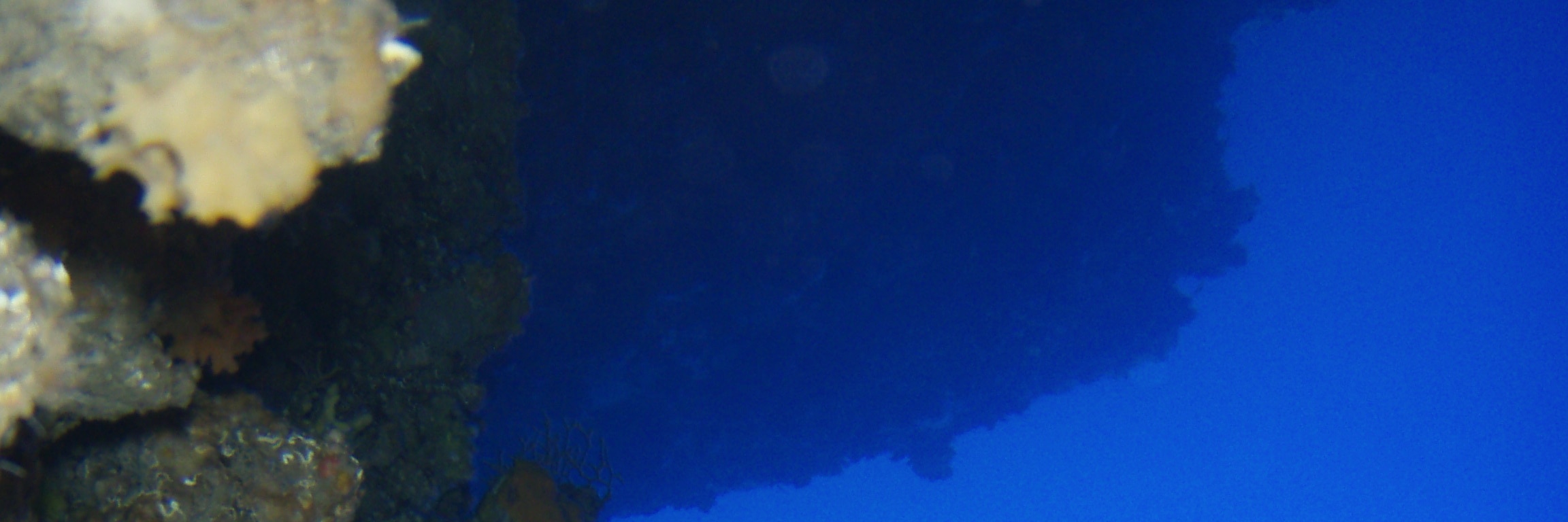 羅得島PADI高氧空氣潛水體驗（PADI五星級IDC度假村）