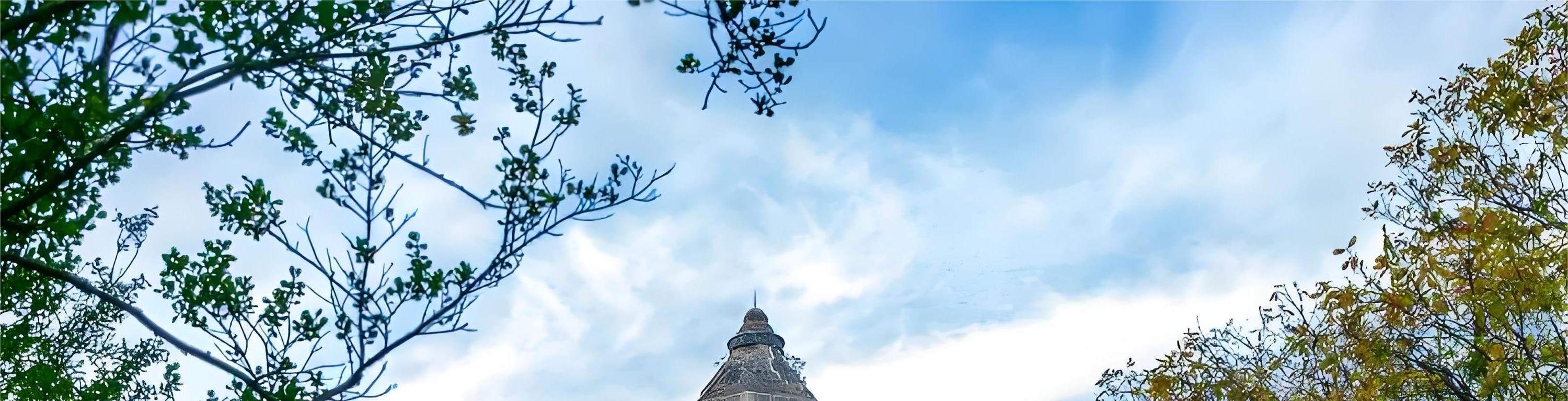 Suzhou Private Day Tour: Humble Administrator's Garden, Lion Grove, Hanshan Temple, Tiger Hill, Shantang Street