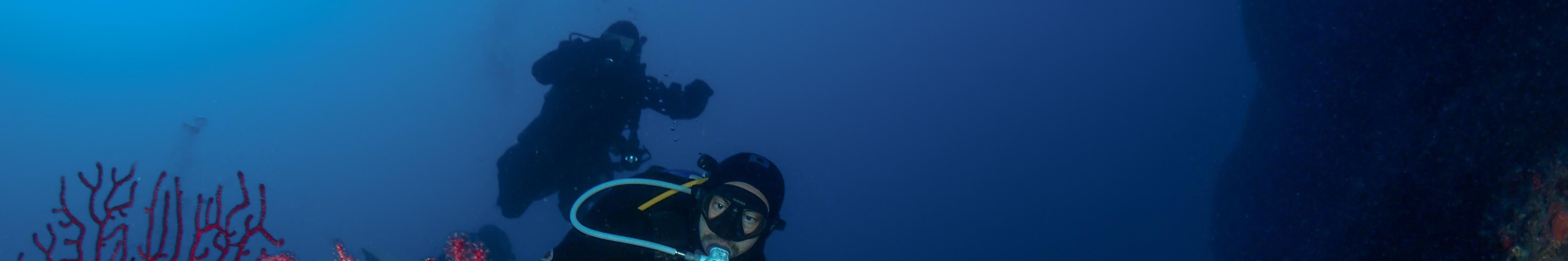 Half day diving excursion
