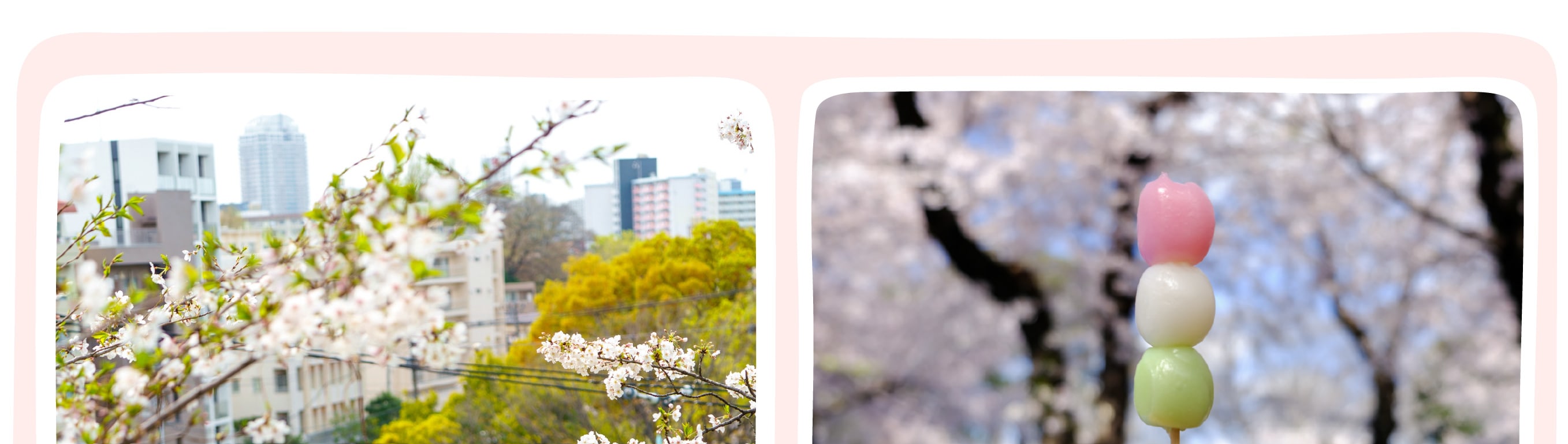 東京櫻花特輯：昭和紀念公園/六義園/飛鳥山