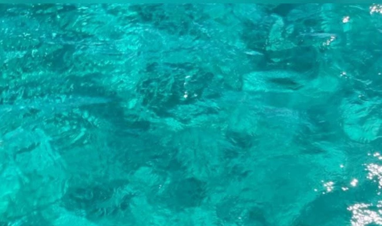 Snorkeling