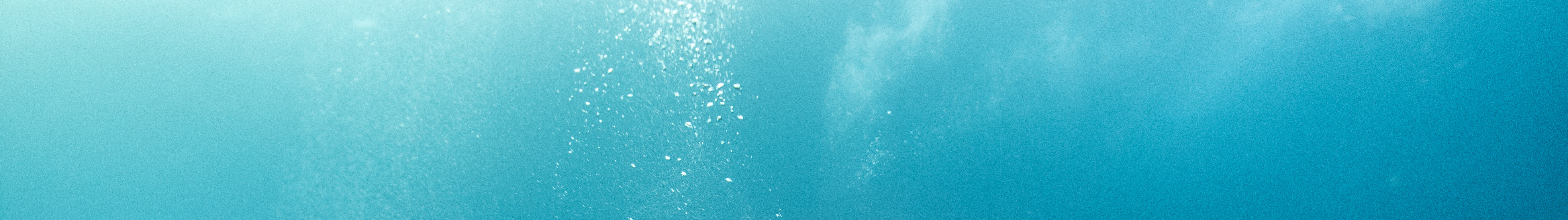 PADI 5* 中心在藍夢島進行高級潛水探險