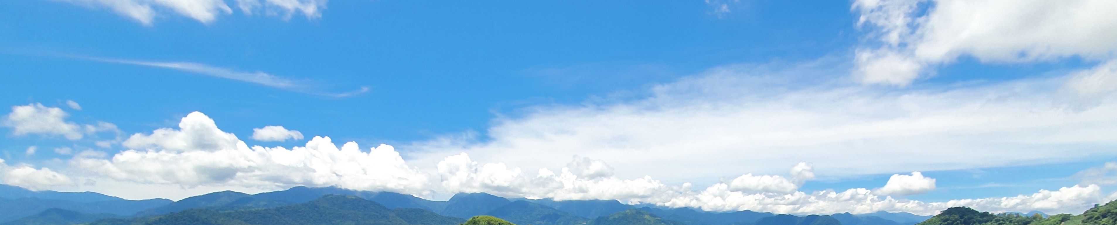 Alishan Alishan