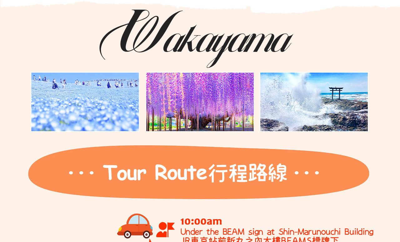 一圖看懂:春賞粉蝶、海畔鳥居、夜觀紫藤,一天沉浸關東最夢幻的花海與海景行程。 一圖看懂:春賞粉蝶、海畔鳥居、夜觀紫藤,一天沉浸關東最夢幻的花海與海景行程。