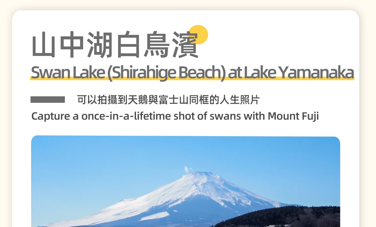山中湖白鳥濱是位於日本富士山附近的一個著名旅遊景點,以其優美的自然風光和富士山的美景而聞名。可以在山中湖白鳥濱餵食野生白天鵝,或者在湖畔的棧橋上散步,遠眺富士山。而且是拍攝富士山的好地點,尤其是日出和日落時分,景色尤為壯觀。 山中湖白鳥濱是位於日本富士山附近的一個著名旅遊景點,以其優美的自然風光和富士山的美景而聞名。可以在山中湖白鳥濱餵食野生白天鵝,或者在湖畔的棧橋上散步,遠眺富士山。而且是拍攝富士山的好地點,尤其是日出和日落時分,景色尤為壯觀。