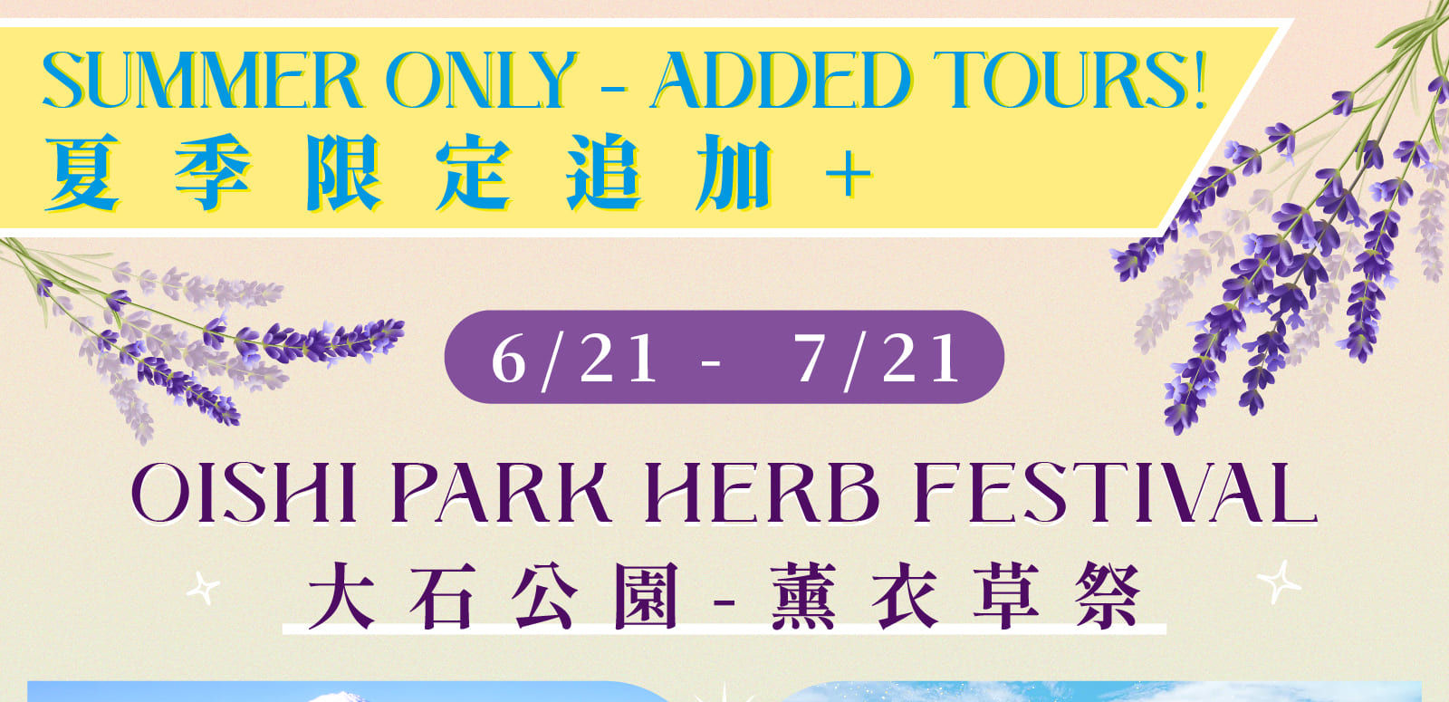 Mt. Fuji Oishi Park x Oshino Hakkai x Koedo Kawagoe Day Tour (Depart from Shinjuku)