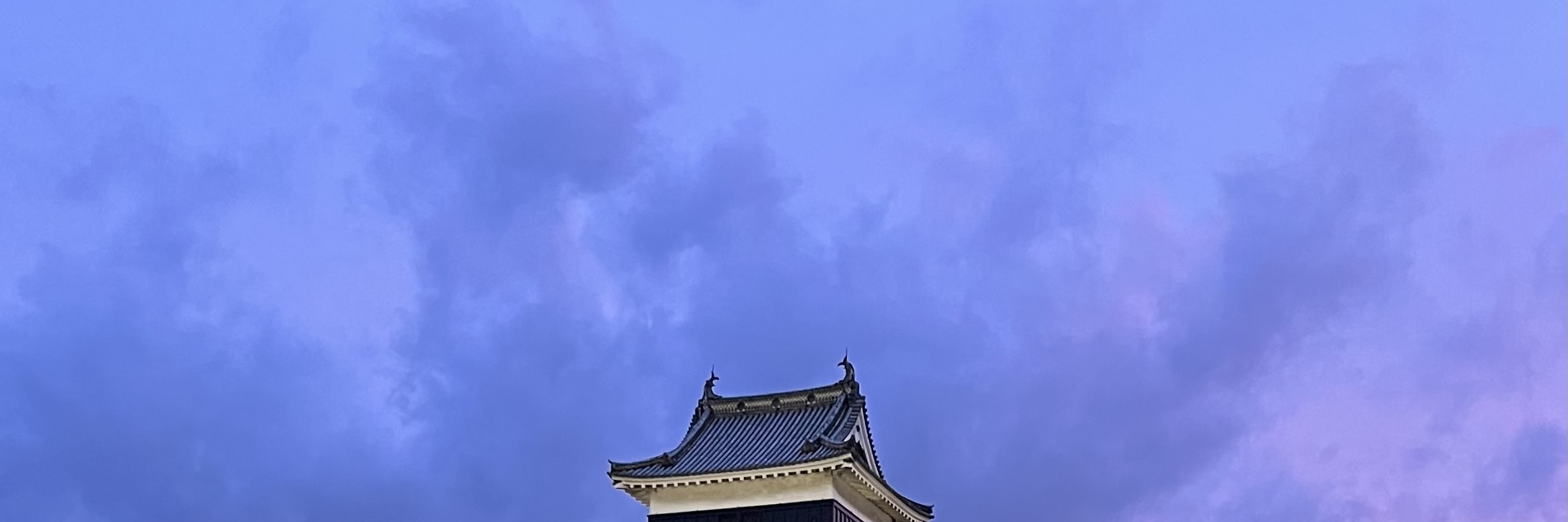 國寶松本城參觀券（Matsumoto Castle）（長野縣）