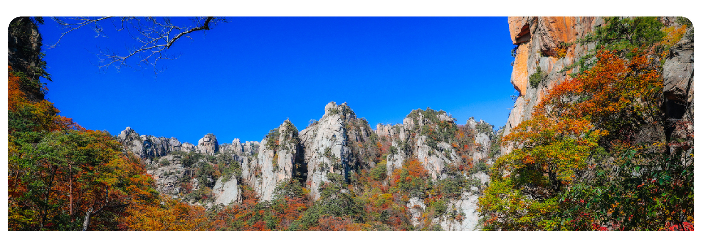 盡情呼吸雪嶽山之美——雄偉山峰、鮮豔森林與寧靜步道，等您來探索冒險。