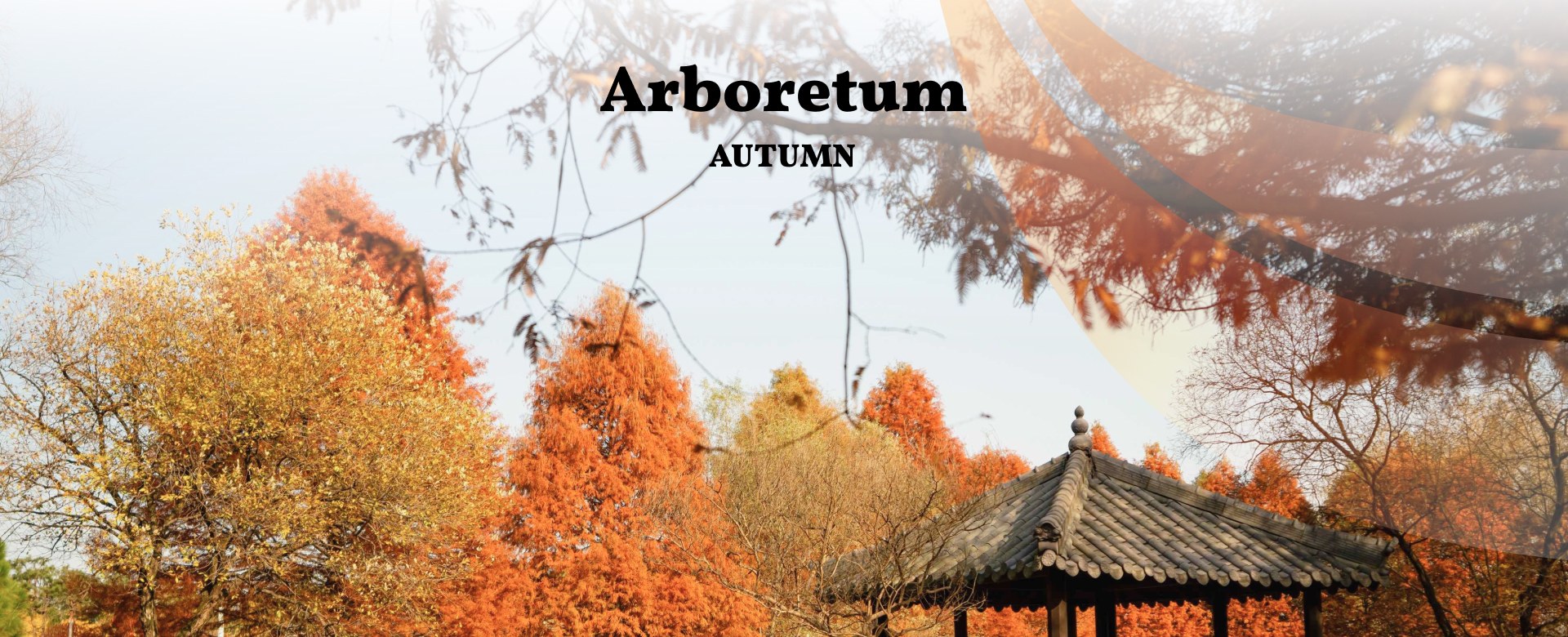 秋天將公園變成一片暖紅色和金色的畫布，是攝影愛好者的理想之地。