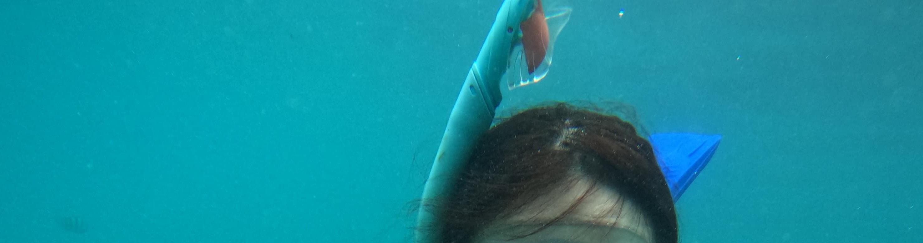 參加難忘的浮潛之旅,探索民丹島清澈碧綠海水下的美麗世界 參加難忘的浮潛之旅,探索民丹島清澈碧綠海水下的美麗世界