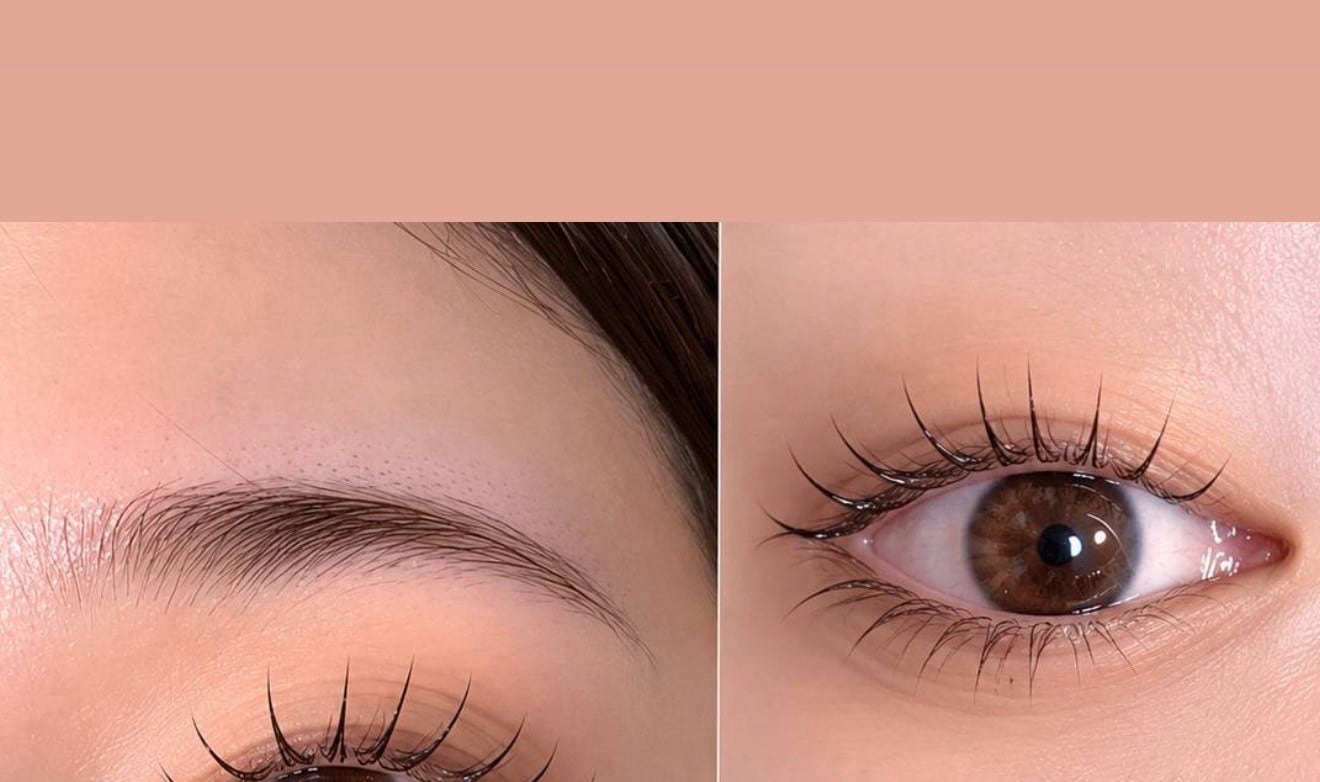 Celestique SPA Eyelash Extensions / Eyelash Grafting - Thumbnail 6