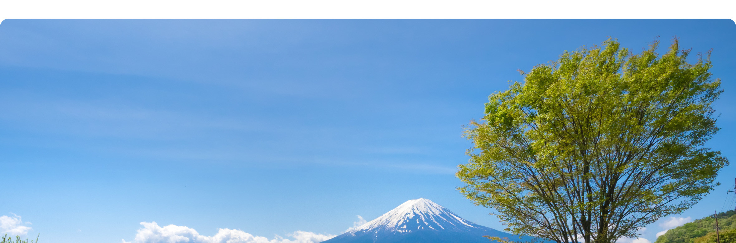 富士山 & 箱根: 富士山五合目/河口湖/大石公園/忍野八海/大涌谷/大淵笹場/雕刻之森美術館/箱根纜車/海賊船 (中/英/韓語導遊)