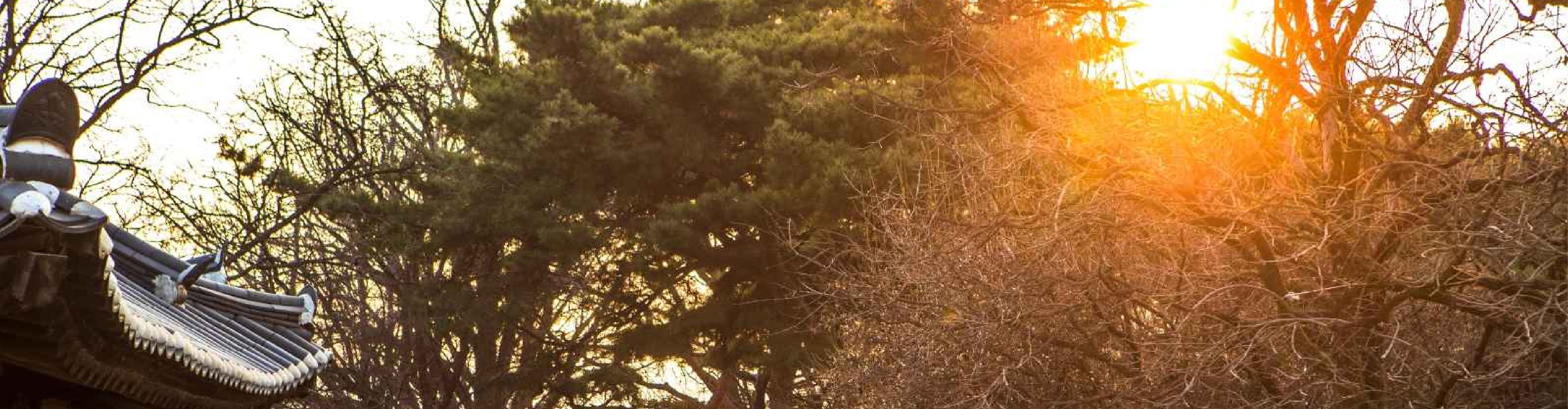 A rustic wooden bridge over a gentle stream leads you into a picture-perfect scene of old Korea, untouched by time.