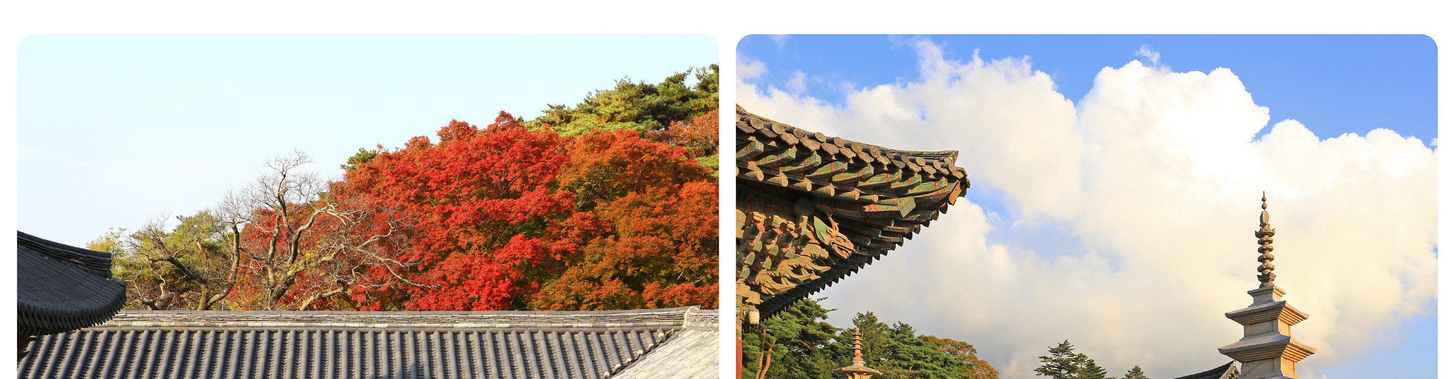 慶州世界遺產一日遊（釜山出發）