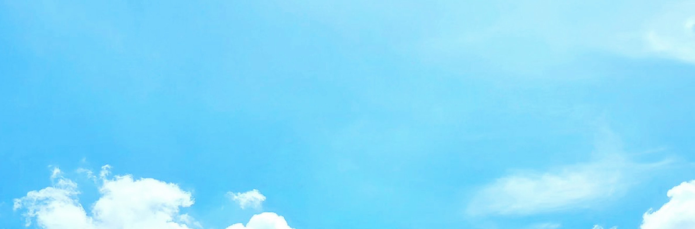 首爾市 & 季節性熱門景點一日遊