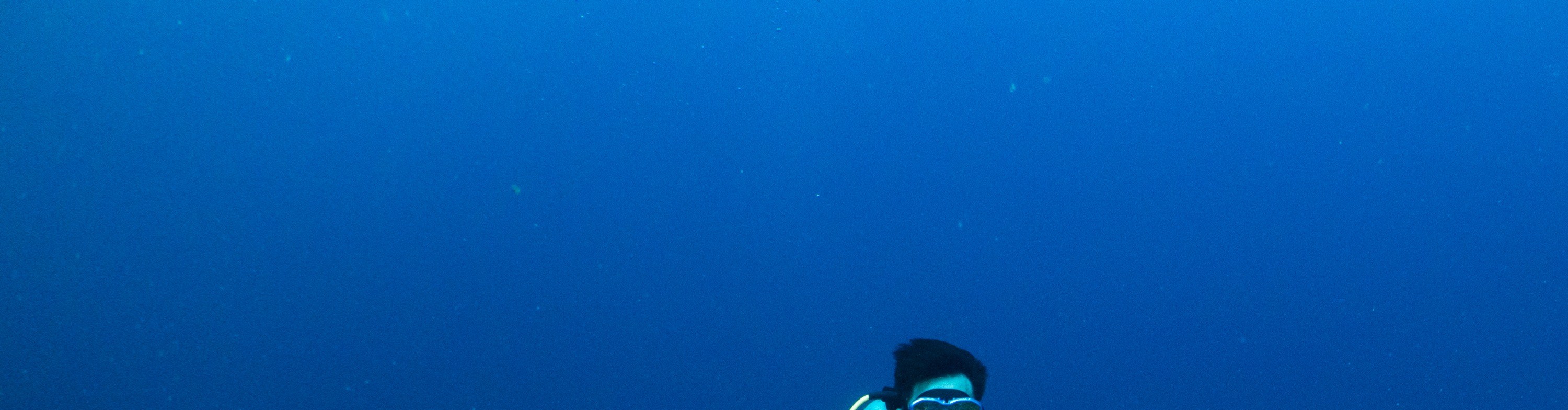 屏東｜墾丁藍洞潛水｜美人魚體驗・ VIP船潛體驗（免證照）