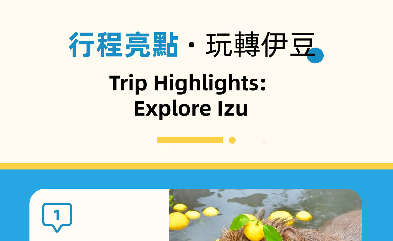活動亮點，深入體驗伊豆網紅景點