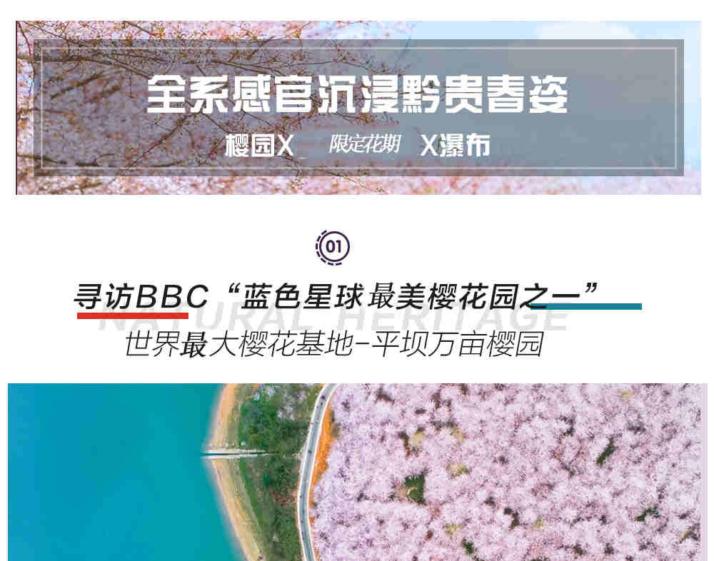 【櫻花限定】貴州平壩櫻花3日（青巖狀元府邸文凡花間堂+黃果樹匠廬·閱山+貴陽往返+萬畝平壩櫻花園+亞洲第一大瀑布黃果樹瀑布）