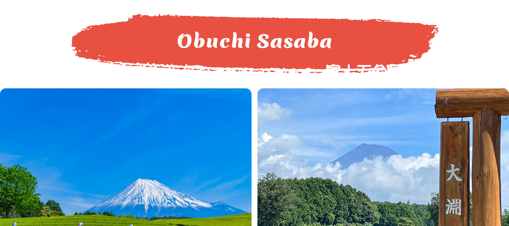 在風景如畫的大淵笹場茶園,品味寧靜,遠眺富士山! 在風景如畫的大淵笹場茶園,品味寧靜,遠眺富士山!