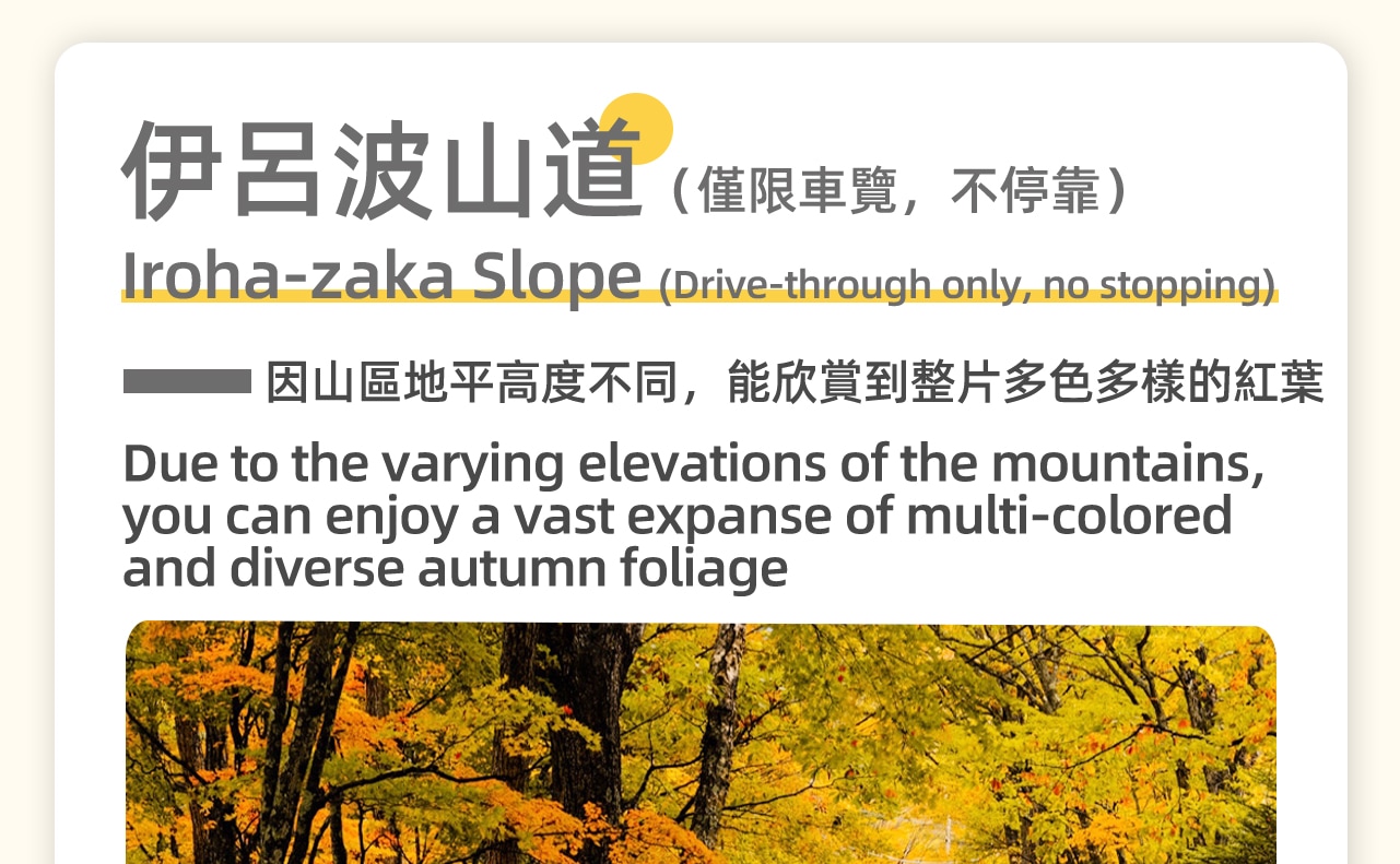 因48個髮卡彎對應日語48字母得名,秋季整條公路化作赤金交錯的立體畫廊,被評為「全球最美秋色公路」之一 因48個髮卡彎對應日語48字母得名,秋季整條公路化作赤金交錯的立體畫廊,被評為「全球最美秋色公路」之一