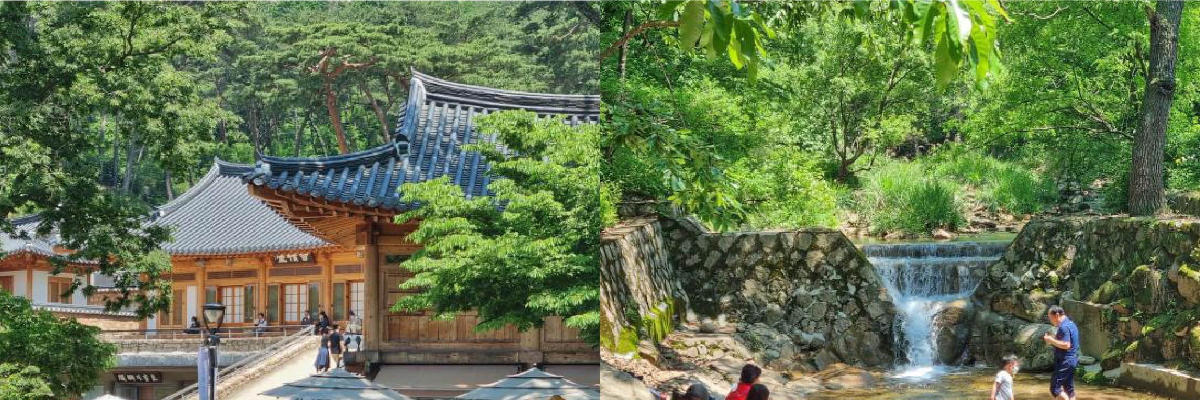 首爾市 & 季節性熱門景點一日遊