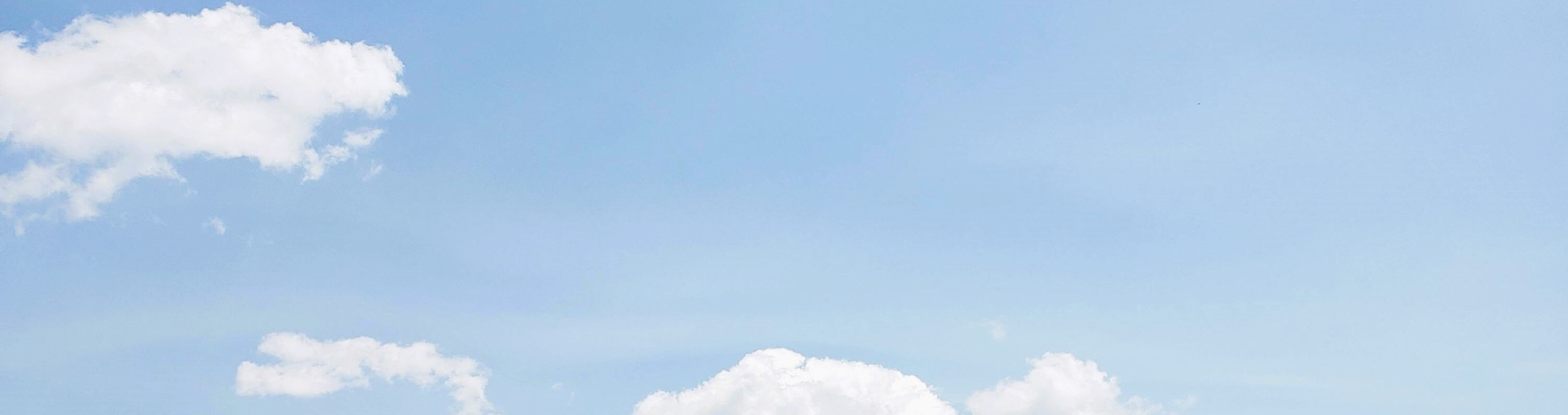 富士山私人定製一日遊（東京出發）