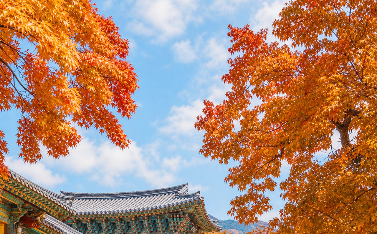 慶州曾是新羅王國的首都，常被譽為「沒有圍牆的博物館」。這裡以其豐富的文化遺產和聯合國教科文組織世界遺產地而聞名。
