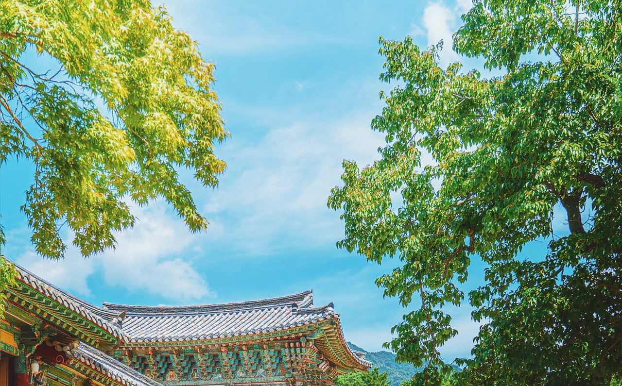 慶州曾是新羅王國的首都,常被譽為「沒有圍牆的博物館」。這裡以其豐富的文化遺產和聯合國教科文組織世界遺產地而聞名。
慶州曾是新羅王國的首都,常被譽為「沒有圍牆的博物館」。這裡以其豐富的文化遺產和聯合國教科文組織世界遺產地而聞名。