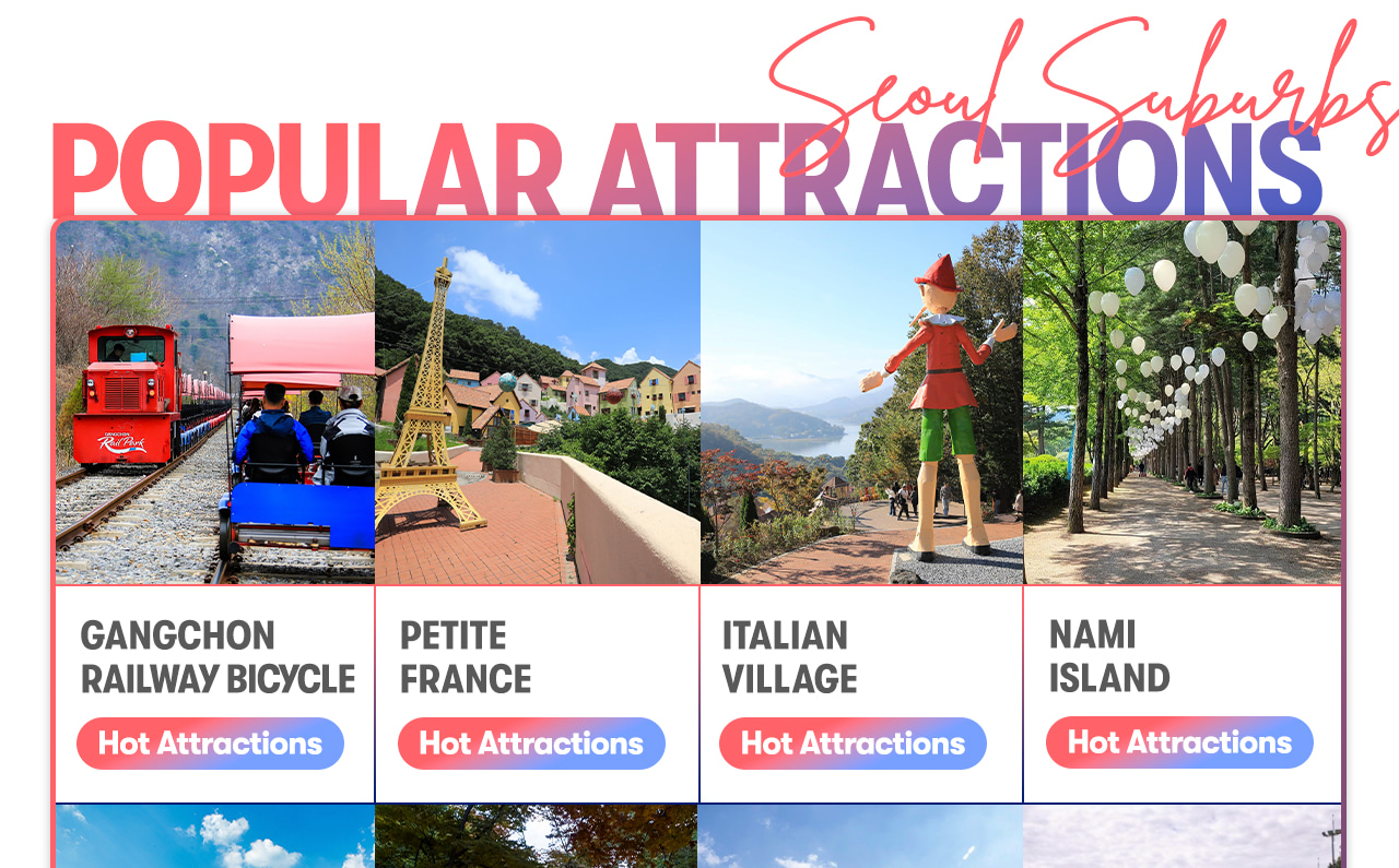 Seoul Car Rental with Driver to Seoul City/Everland/Nami Island/Alpaca World/Gangchon Rail Park