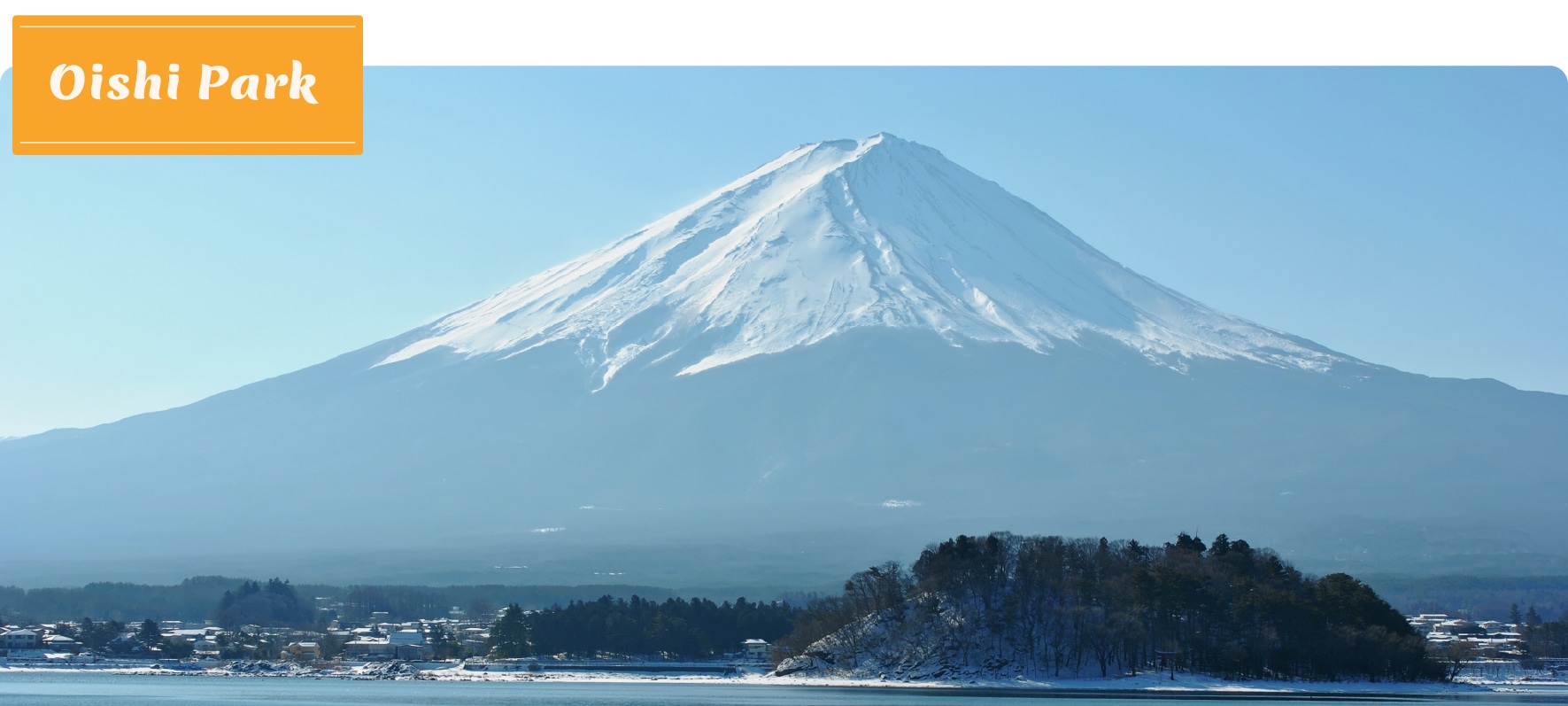 漫步於大石公園北側的湖畔長廊,這裡是令人驚歎的季節性花卉畫卷,完美襯托出富士山的壯麗景色。 漫步於大石公園北側的湖畔長廊,這裡是令人驚歎的季節性花卉畫卷,完美襯托出富士山的壯麗景色。