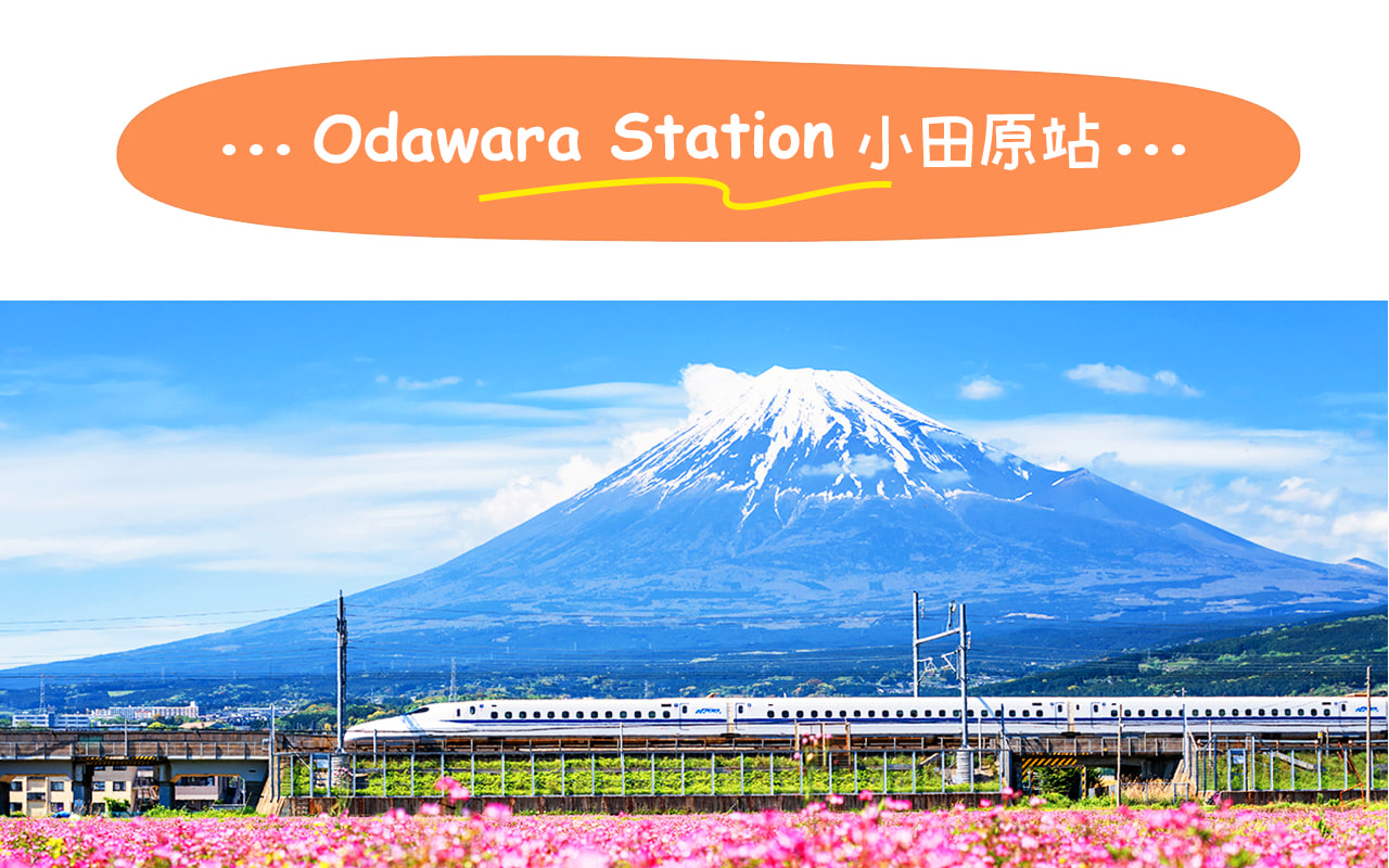 從小田原站搭乘新幹線返回東京,高速便捷,沿途可欣賞關東風光,完美收官富士箱根之旅。 從小田原站搭乘新幹線返回東京,高速便捷,沿途可欣賞關東風光,完美收官富士箱根之旅。