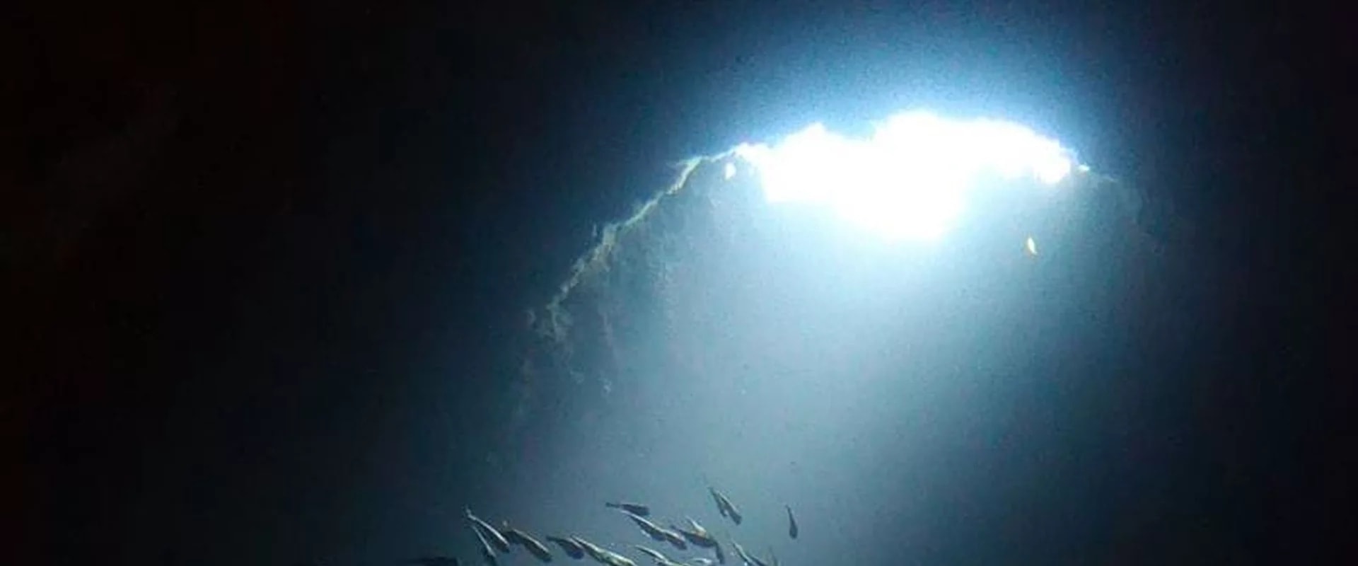 愛妮島 PADI 潛水中心進階潛水課程