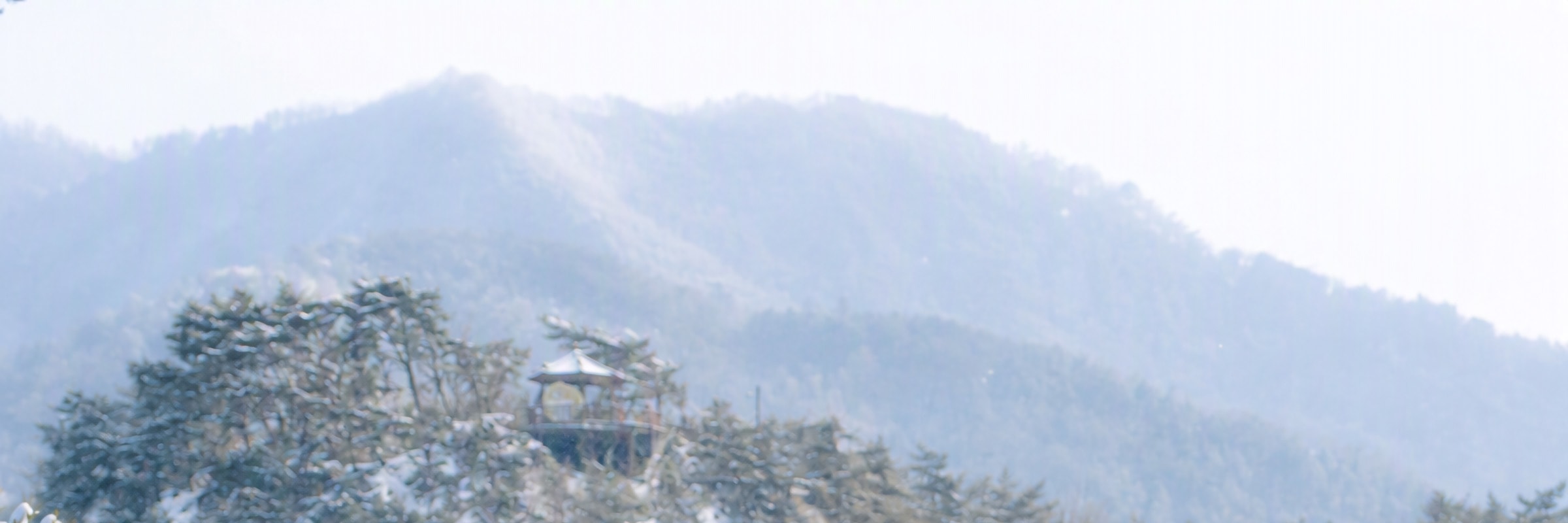 Seoul One Day Tour: Hanok Village, Nature Trails & Seoul City Views - Thumbnail 20
