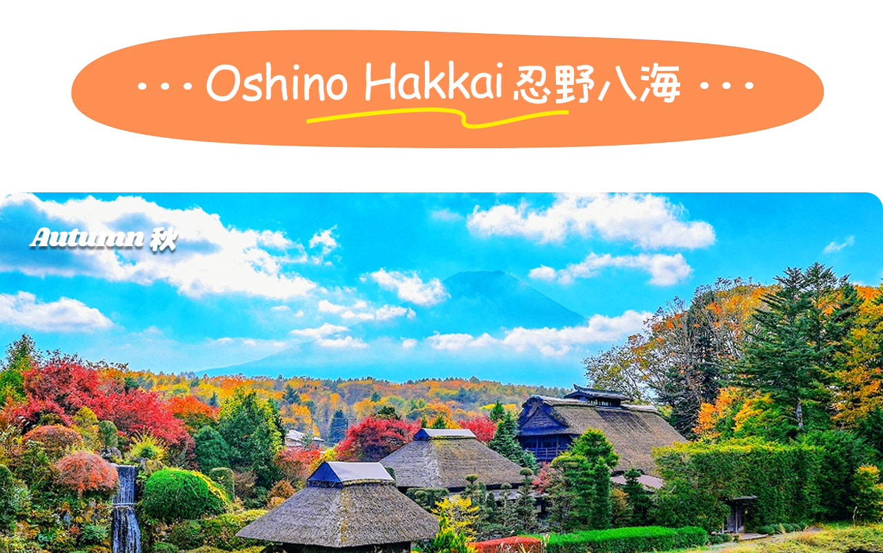 忍野八海是富士山腳下的清泉聖地，八口泉水清澈甘甜，倒映著雪山美景，宛如人間秘境。