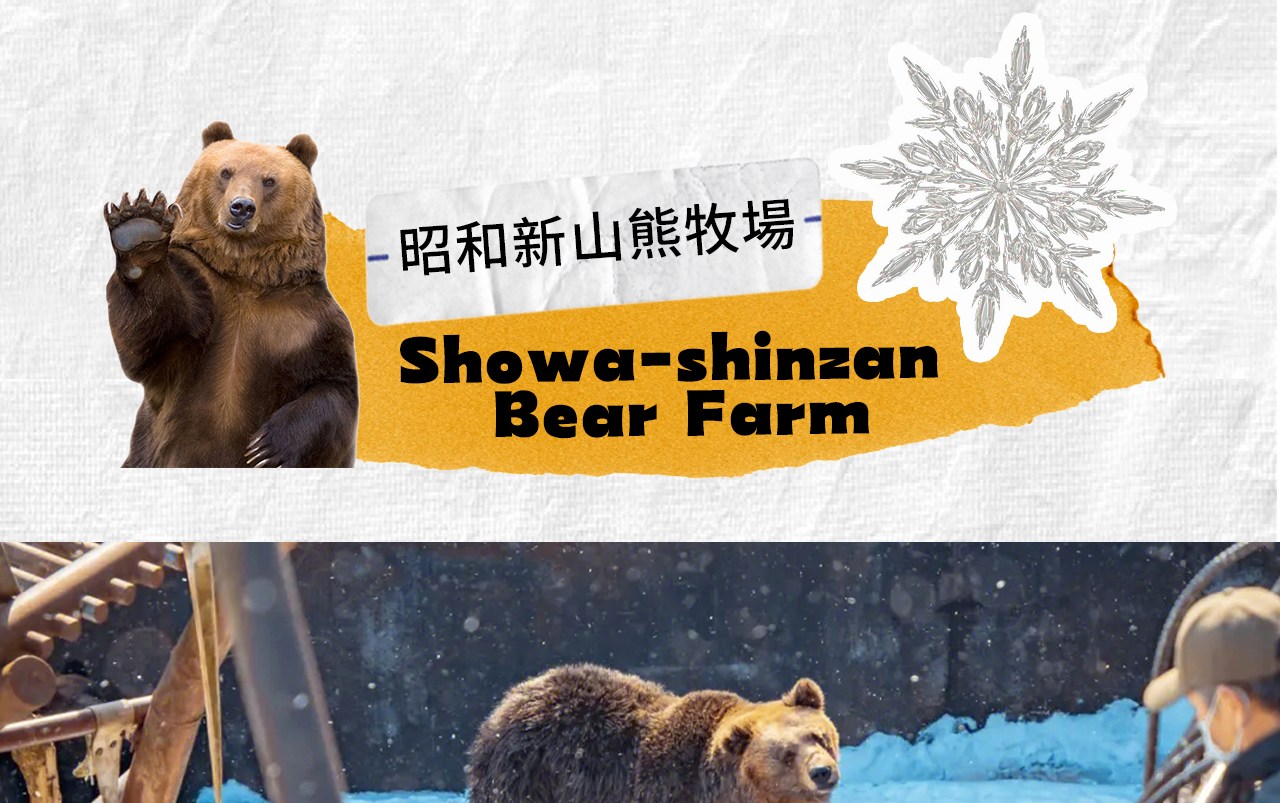 昭和新山熊牧場可近距離觀賞北海道棕熊憨態可掬的模樣,並親手投餵互動體驗溫馨樂趣。 昭和新山熊牧場可近距離觀賞北海道棕熊憨態可掬的模樣,並親手投餵互動體驗溫馨樂趣。