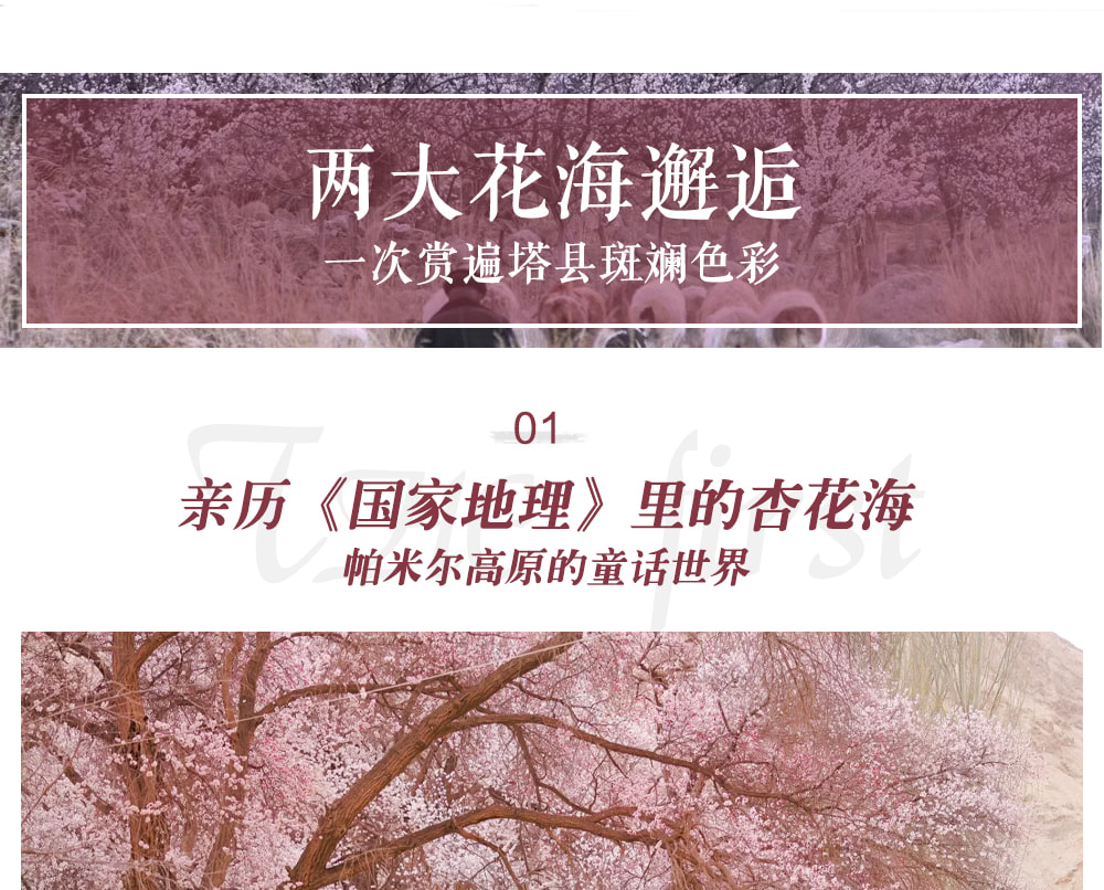 新疆南疆杏花私家7日（不周山野奢營地+日照金山+白沙湖觀景愛帕民宿+塔爾鄉杏花村+木吉冰火幻境+盤龍古道+慕士塔格4號冰川+雪柳樹洞）